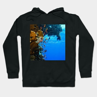 deep sea Hoodie